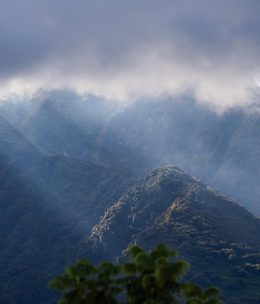Volcanoes National Park - gorillas and mountains